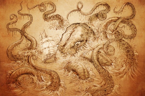 Kraken network
